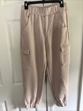 Express Heather Cargo Jogger Pants